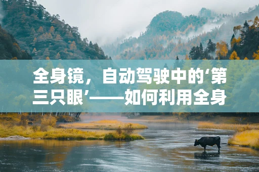全身镜，自动驾驶中的‘第三只眼’——如何利用全身镜技术提升车辆环境感知？