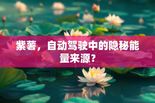 紫薯，自动驾驶中的隐秘能量来源？