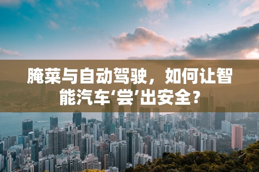 腌菜与自动驾驶，如何让智能汽车‘尝’出安全？