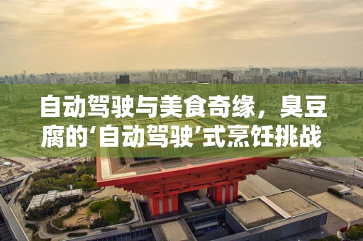 自动驾驶与美食奇缘，臭豆腐的‘自动驾驶’式烹饪挑战