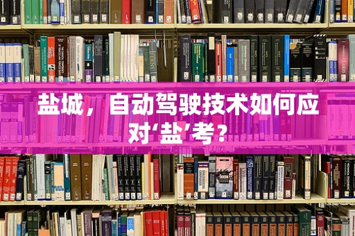 盐城，自动驾驶技术如何应对‘盐’考？