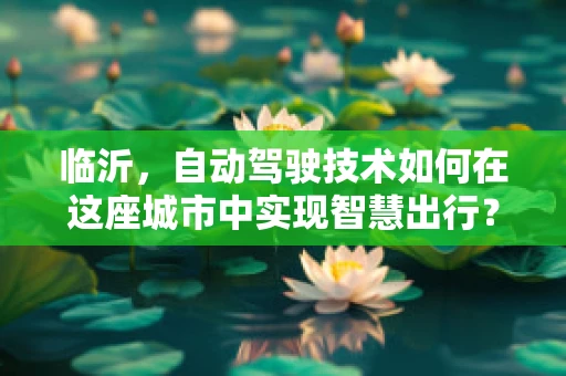 临沂，自动驾驶技术如何在这座城市中实现智慧出行？