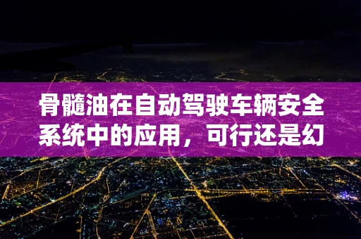 骨髓油在自动驾驶车辆安全系统中的应用，可行还是幻想？
