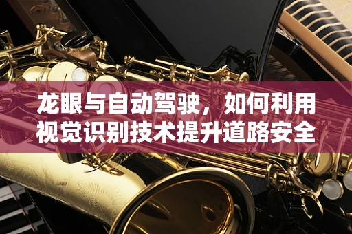 龙眼与自动驾驶，如何利用视觉识别技术提升道路安全？