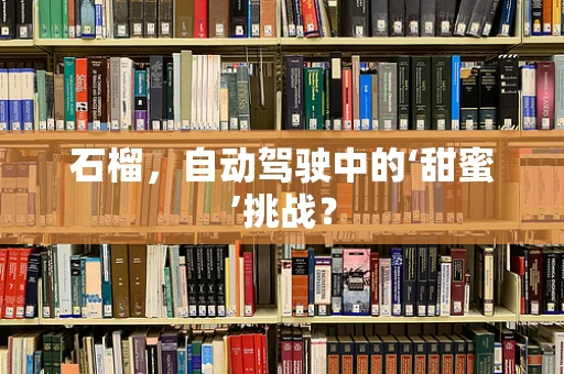 石榴，自动驾驶中的‘甜蜜’挑战？