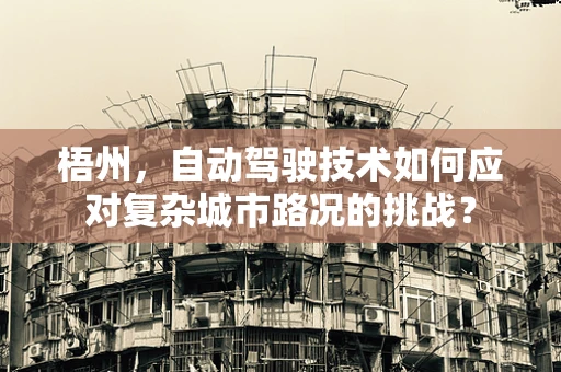 梧州，自动驾驶技术如何应对复杂城市路况的挑战？