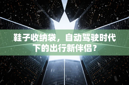 鞋子收纳袋，自动驾驶时代下的出行新伴侣？