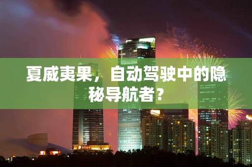 夏威夷果，自动驾驶中的隐秘导航者？