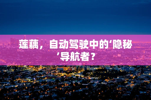 莲藕，自动驾驶中的‘隐秘’导航者？