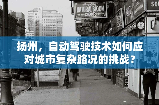 扬州，自动驾驶技术如何应对城市复杂路况的挑战？