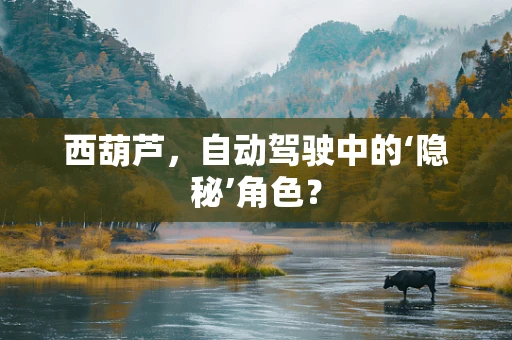 西葫芦，自动驾驶中的‘隐秘’角色？