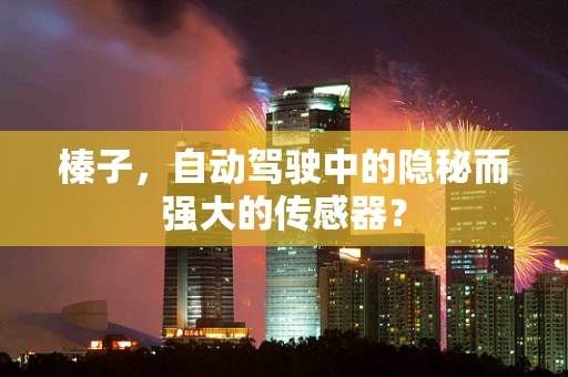 榛子，自动驾驶中的隐秘而强大的传感器？