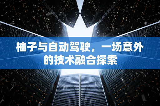 柚子与自动驾驶，一场意外的技术融合探索