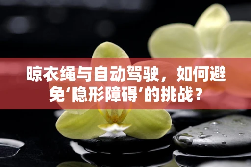 晾衣绳与自动驾驶，如何避免‘隐形障碍’的挑战？