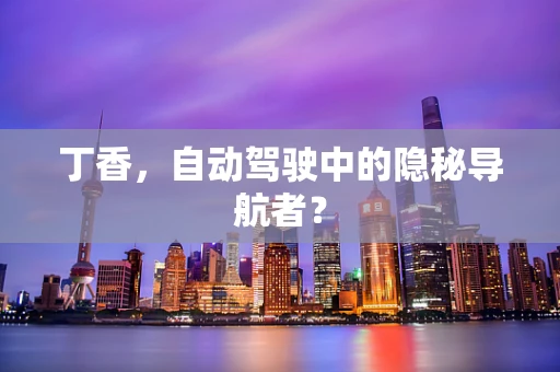 丁香，自动驾驶中的隐秘导航者？
