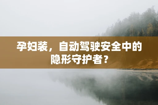 孕妇装，自动驾驶安全中的隐形守护者？