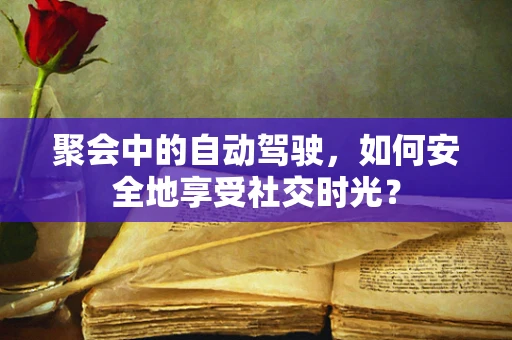 聚会中的自动驾驶，如何安全地享受社交时光？