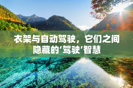衣架与自动驾驶，它们之间隐藏的‘驾驶’智慧