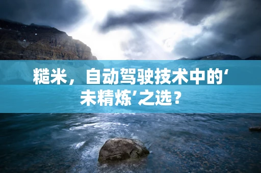 糙米，自动驾驶技术中的‘未精炼’之选？