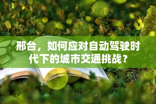 邢台，如何应对自动驾驶时代下的城市交通挑战？