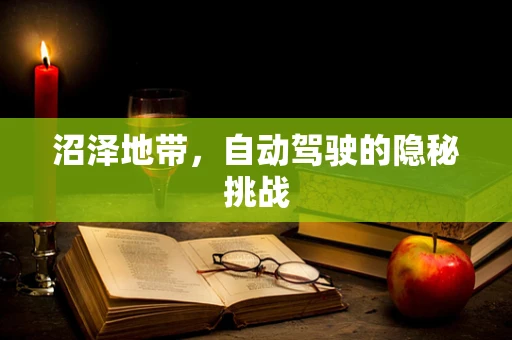 沼泽地带，自动驾驶的隐秘挑战