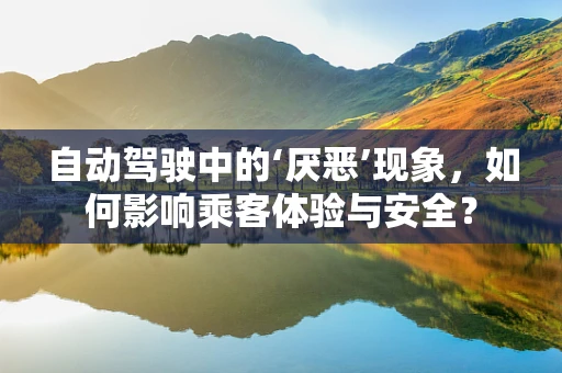 自动驾驶中的‘厌恶’现象，如何影响乘客体验与安全？