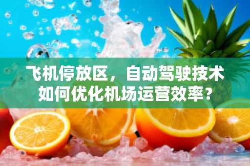飞机停放区，自动驾驶技术如何优化机场运营效率？