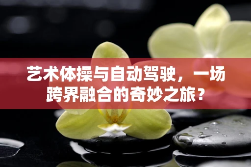 艺术体操与自动驾驶，一场跨界融合的奇妙之旅？