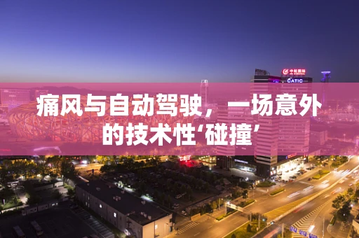 痛风与自动驾驶，一场意外的技术性‘碰撞’