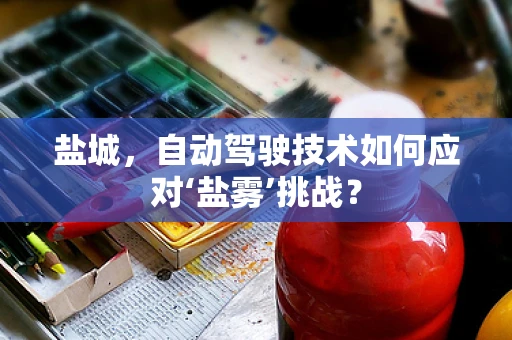 盐城，自动驾驶技术如何应对‘盐雾’挑战？