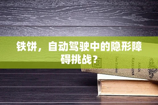 铁饼，自动驾驶中的隐形障碍挑战？