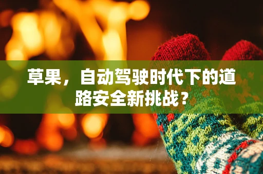 草果，自动驾驶时代下的道路安全新挑战？