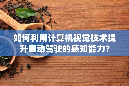 如何利用计算机视觉技术提升自动驾驶的感知能力？