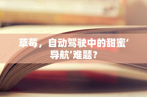草莓，自动驾驶中的甜蜜‘导航’难题？