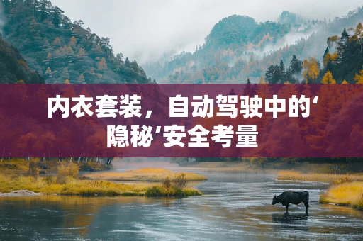 内衣套装，自动驾驶中的‘隐秘’安全考量