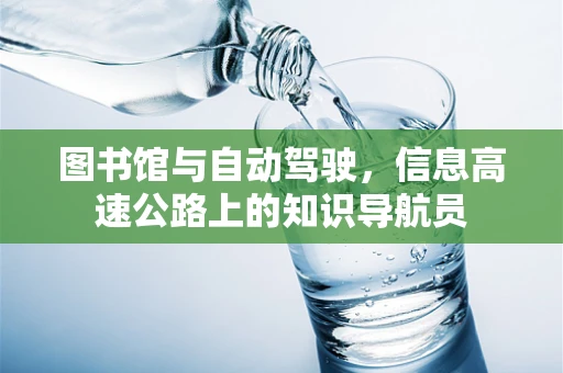 图书馆与自动驾驶，信息高速公路上的知识导航员