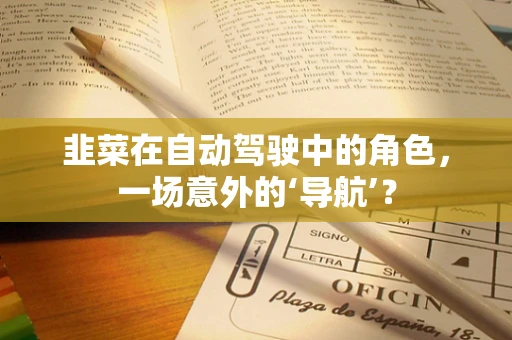 韭菜在自动驾驶中的角色，一场意外的‘导航’？