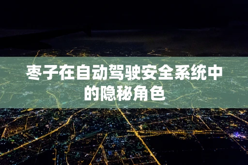 枣子在自动驾驶安全系统中的隐秘角色