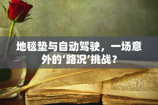 地毯垫与自动驾驶，一场意外的‘路况’挑战？