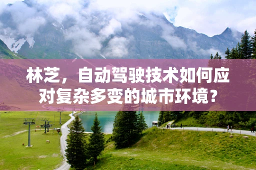 林芝，自动驾驶技术如何应对复杂多变的城市环境？