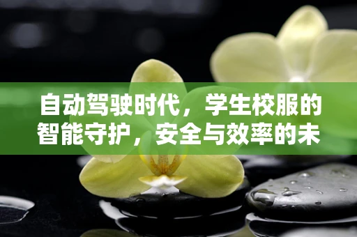 自动驾驶时代，学生校服的智能守护，安全与效率的未来？