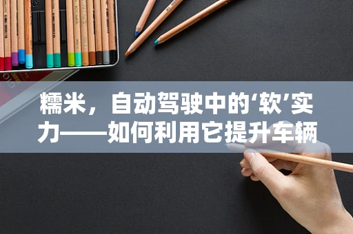 糯米，自动驾驶中的‘软’实力——如何利用它提升车辆感知与决策？