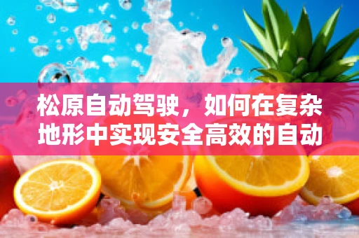 松原自动驾驶，如何在复杂地形中实现安全高效的自动驾驶？