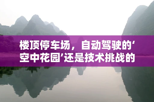 楼顶停车场，自动驾驶的‘空中花园’还是技术挑战的‘试炼场’？