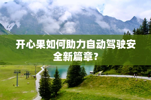 开心果如何助力自动驾驶安全新篇章？