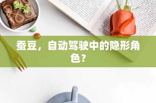 蚕豆，自动驾驶中的隐形角色？