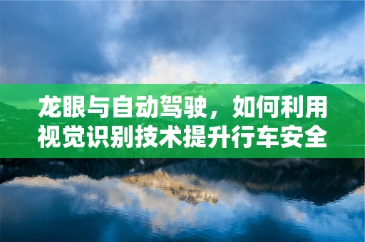 龙眼与自动驾驶，如何利用视觉识别技术提升行车安全？