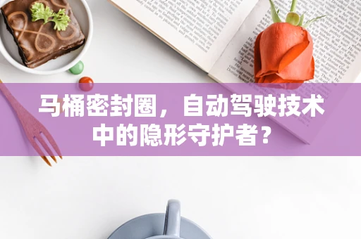 马桶密封圈，自动驾驶技术中的隐形守护者？