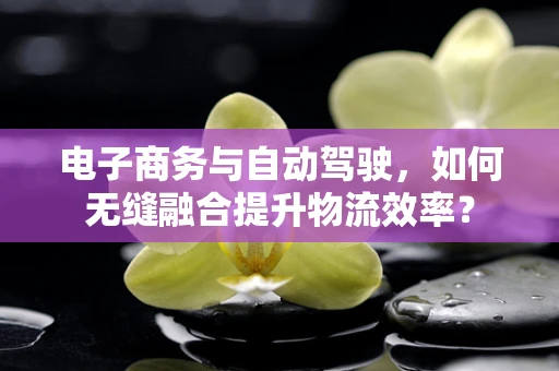 电子商务与自动驾驶，如何无缝融合提升物流效率？