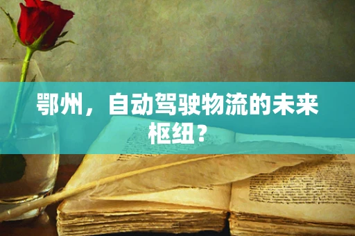 鄂州，自动驾驶物流的未来枢纽？